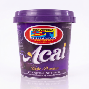 Pote Açaí 500ml